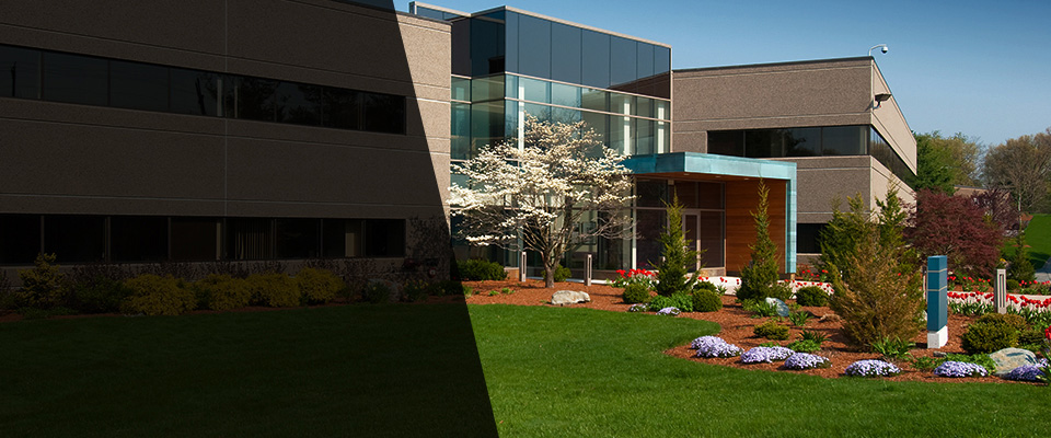 Lockport Landscapers