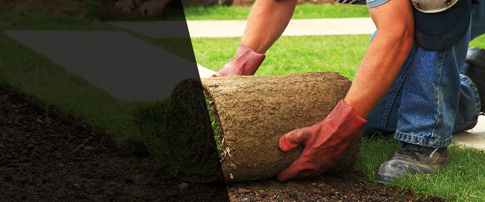 Lockport Landscapers